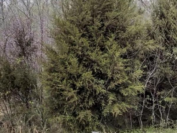 67 Lookout Ridge , Pittsboro, NC 27312