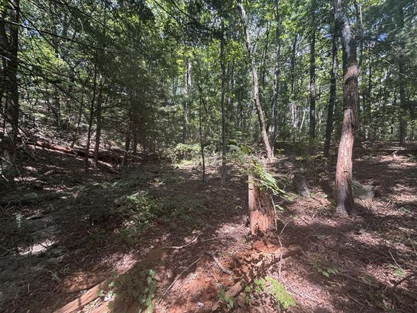 00 Fort Trace Drive, Lookout Mountain, GA 30750