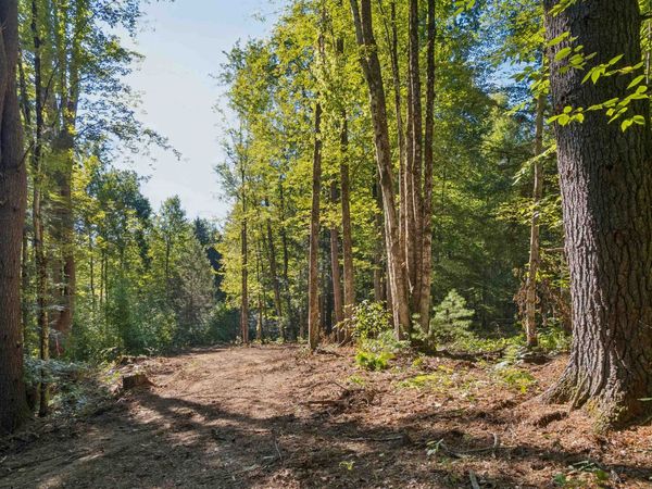 0 Charlestown Road, Unit Lot C: Goldfinch Corner, Springfield, VT 05156