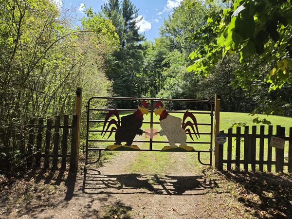 4272 Swan Lake Drive, Allegan, MI 49010