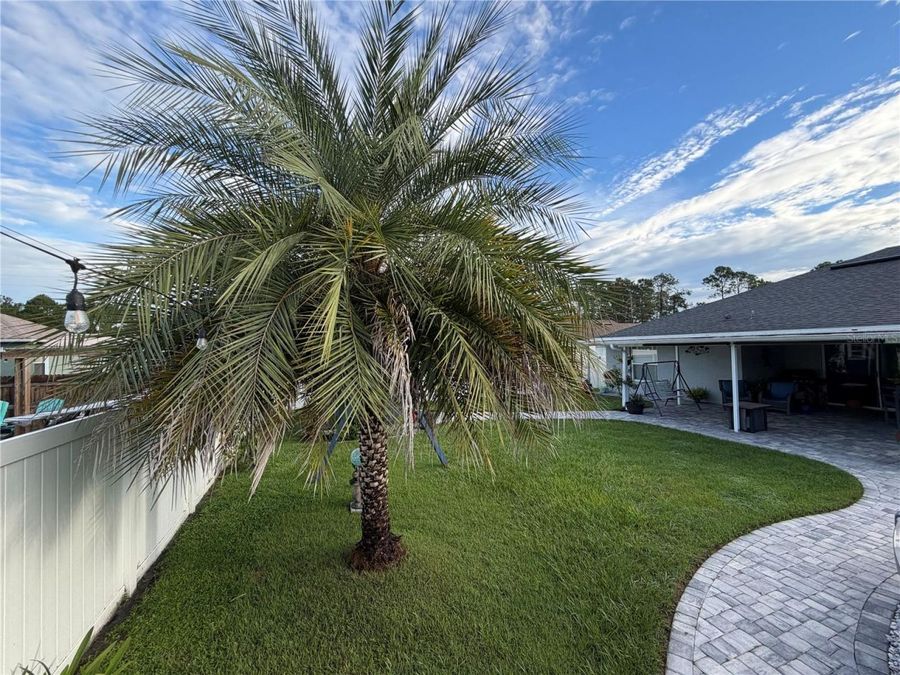 Property Image 67