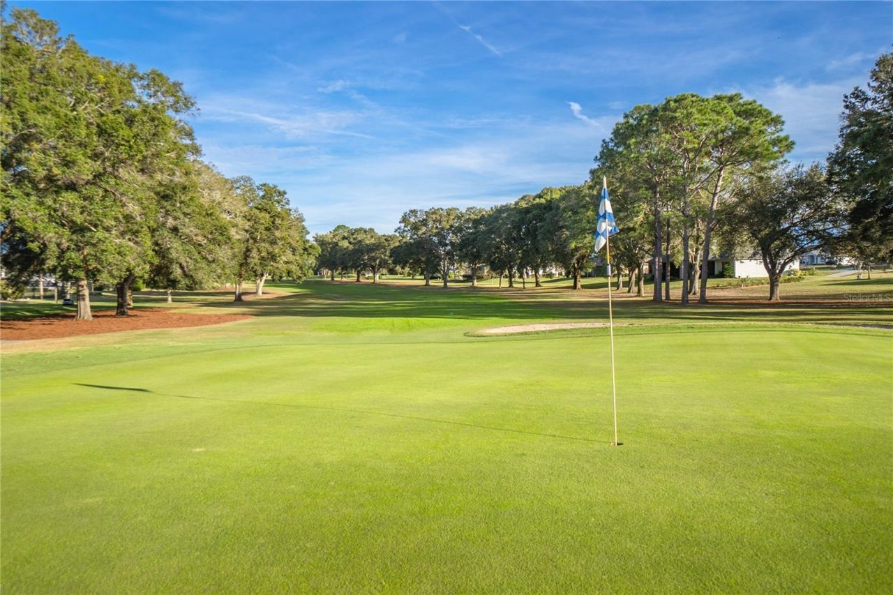 593 N Cherry Pop Drive, Inverness, FL 34453 Photo