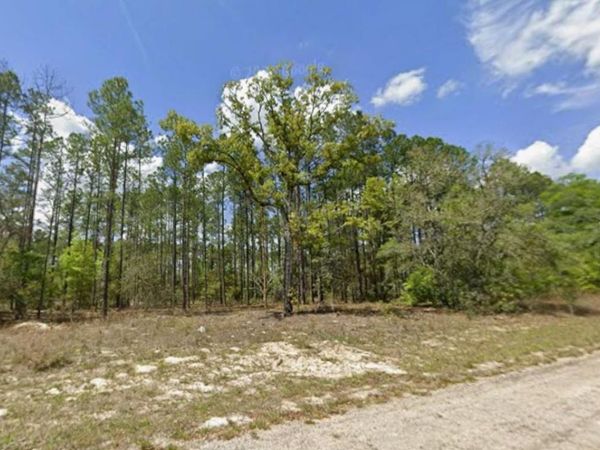 10838 N OCEAN DRIVE , CITRUS SPRINGS, FL 34434