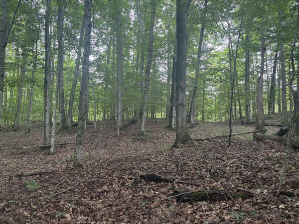 18611 St. Pierre Road, Arcadia, MI 49613