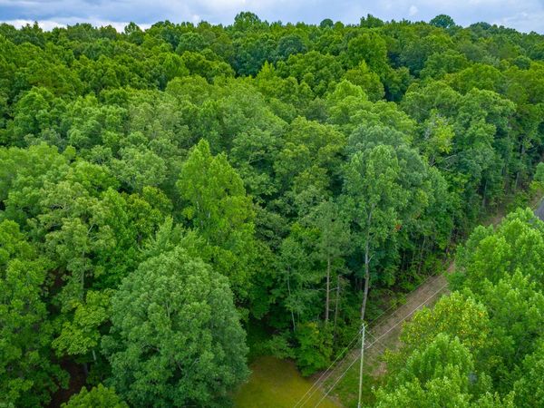 1005 Tanya Drive, Whitwell, TN 37397