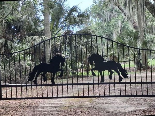 6800 NW HIGHWAY 320 , MICANOPY, FL 32667