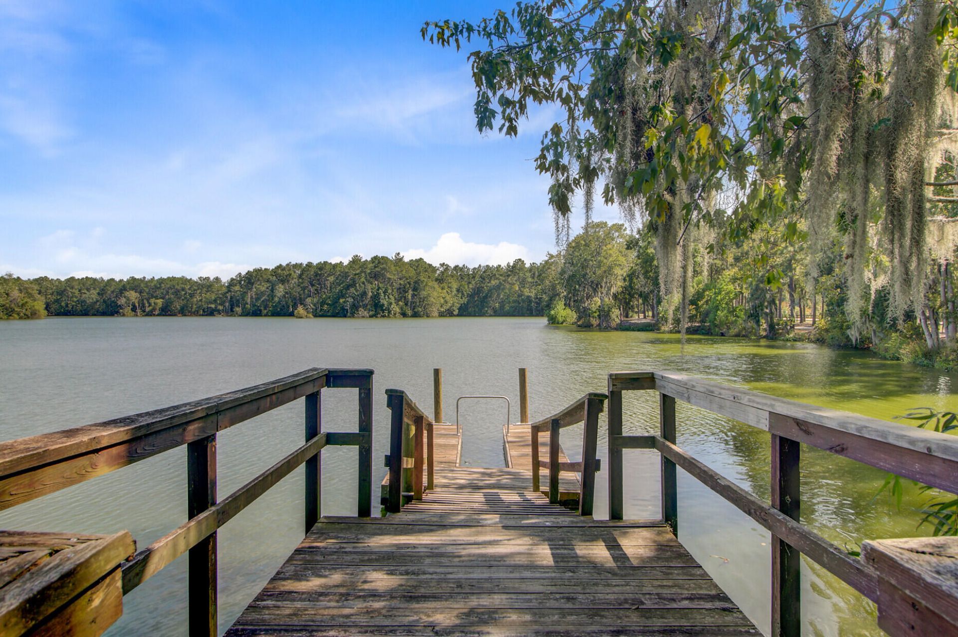 203 Gnarly Oak Lane Photo 68