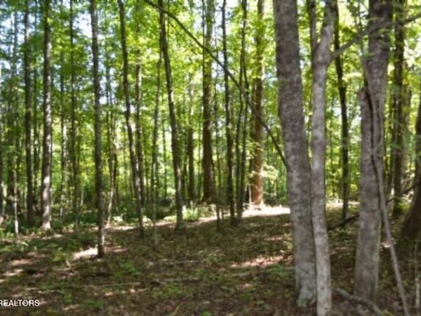 3ac Rock Springs Rd, Celina, TN 38551