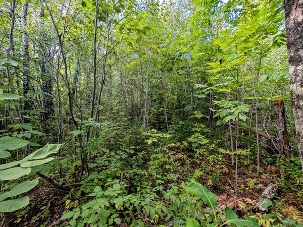 M6 L27-1 Loggin Road , Frankfort, ME 04438