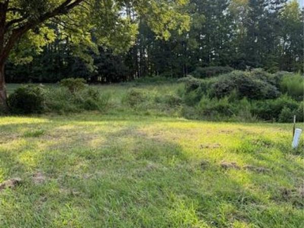 0 Turtle Lake Bend, Randleman, NC 27317