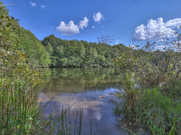 4000 Jumpoff Rd, Sewanee, TN 37375