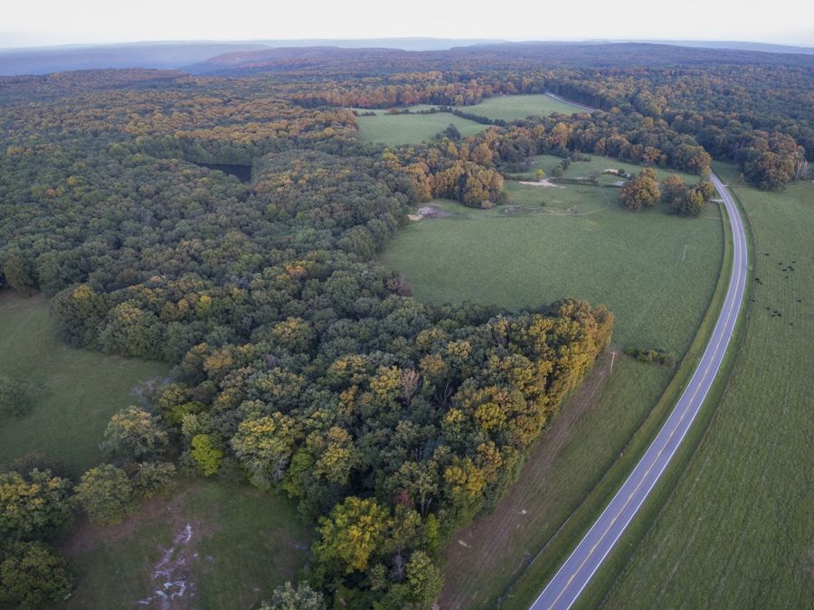 Property Image 28