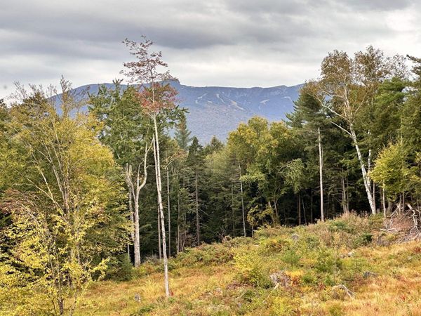 2364 mountain Road, Unit Lot #3, Stowe, VT 05672