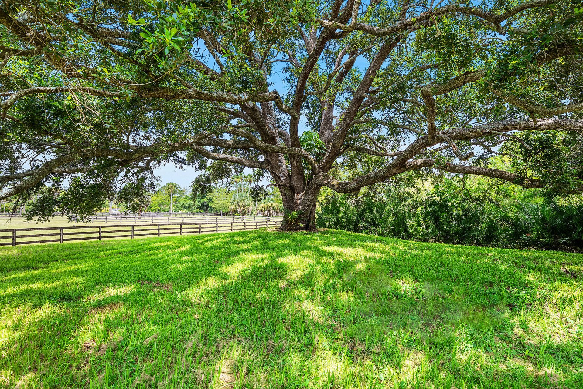 11802 Acme Road, Wellington, FL 33414 Photo