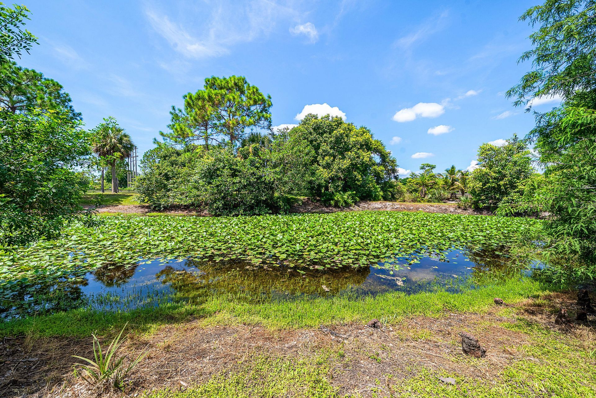 11802 Acme Road, Wellington, FL 33414 Photo
