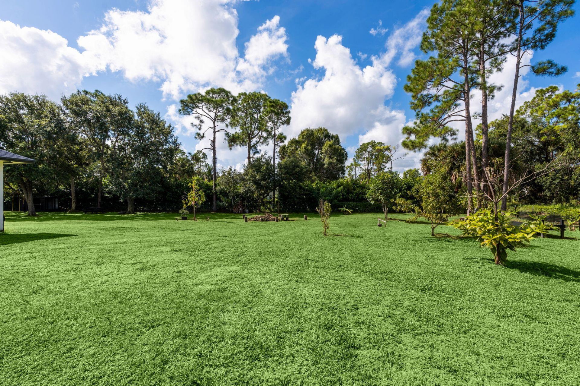 18220 90th Street N, The Acreage, FL 33470 Photo