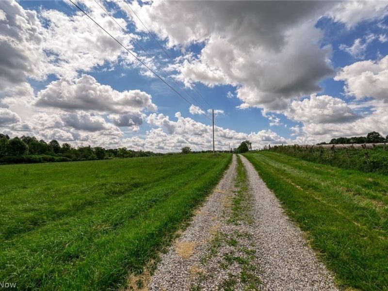7270 Tallmadge Road, Rootstown, OH 44272 Photo 2