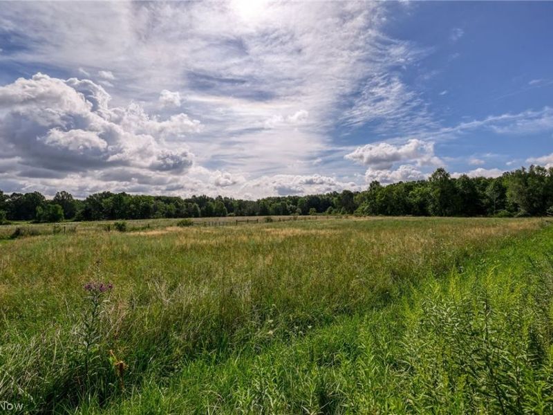 7270 Tallmadge Road, Rootstown, OH 44272 Photo 41