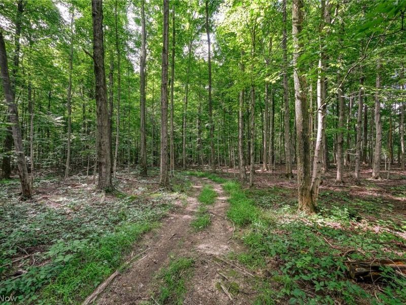 7270 Tallmadge Road, Rootstown, OH 44272 Photo 43