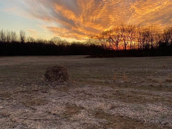 5925 FEATHERS CHAPEL DR, Somerville, TN 38068