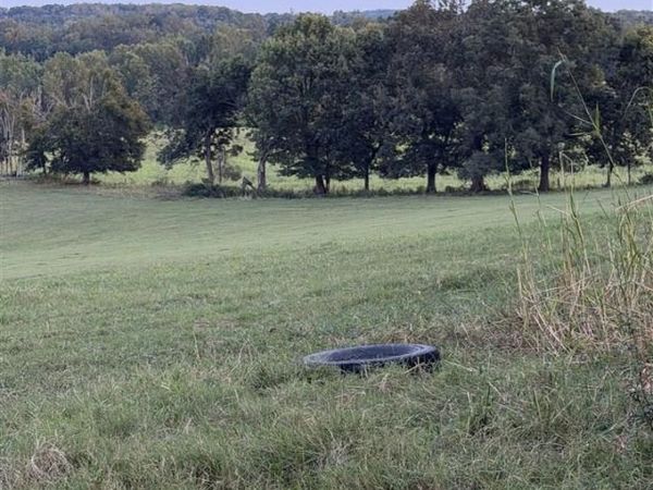 61 Ac Dragstrip Road , Tompkinsville, KY 42167