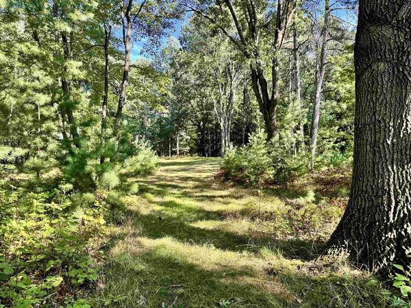 MAPLEWOOD LANE, Sobieski, WI 54171