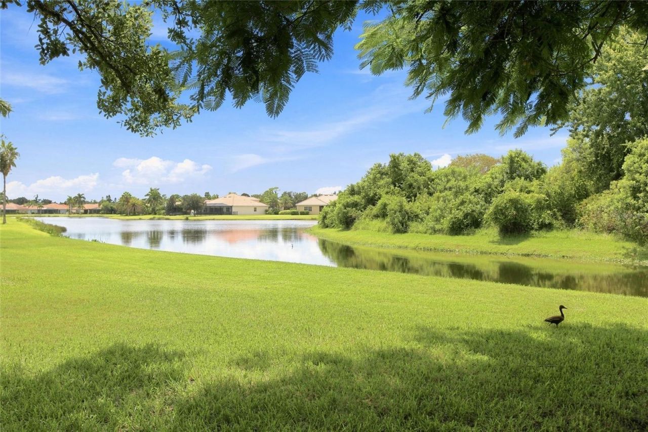 616 Country Meadows Way, Bradenton, FL 34212 Photo