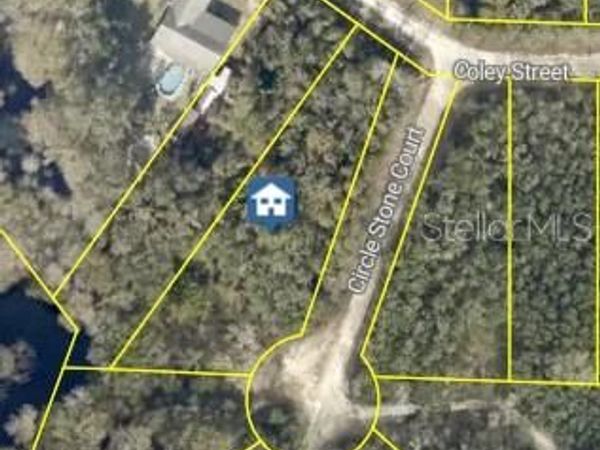 8279 COLEY STREET , WEBSTER, FL 33597