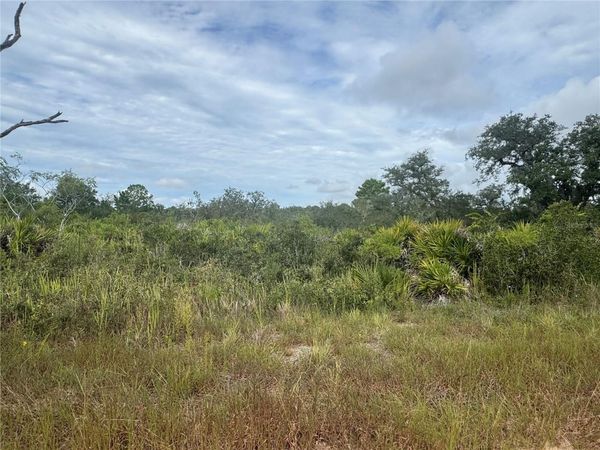 3022 W PETALUMA ROAD , AVON PARK, FL 33825