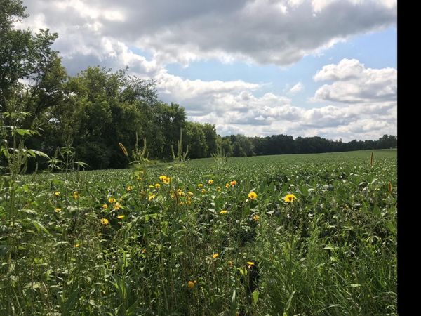 1405 Hamel Road , Medina, MN 55340