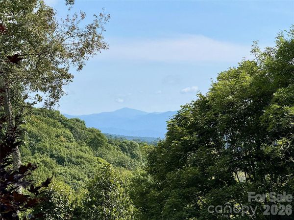 98 Goldenleaf Road, Mars Hill, NC 28754