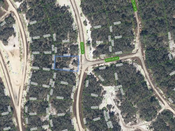 236 Dargen Dr , Lake Placid, FL 33852