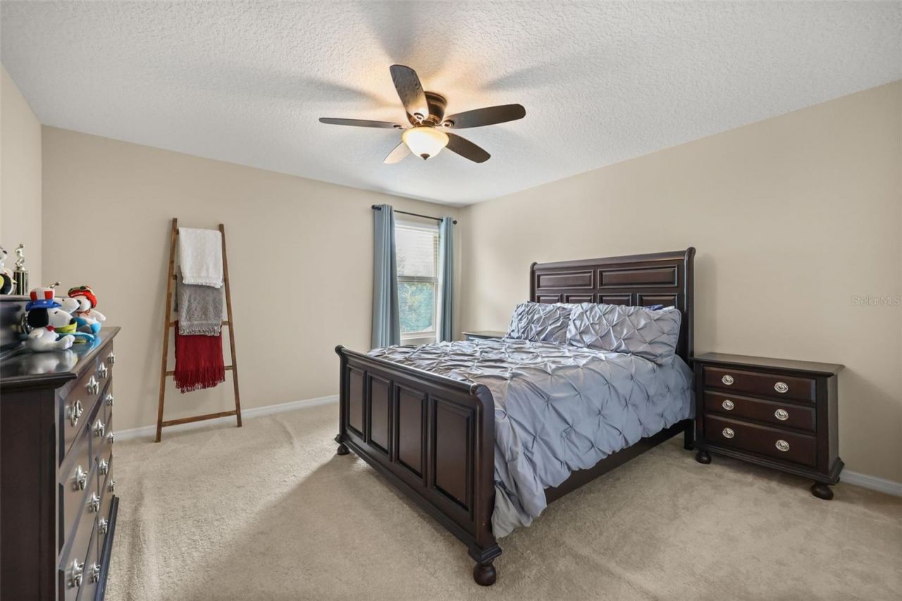 539 Timbervale Trail, Clermont, FL 34715 Photo