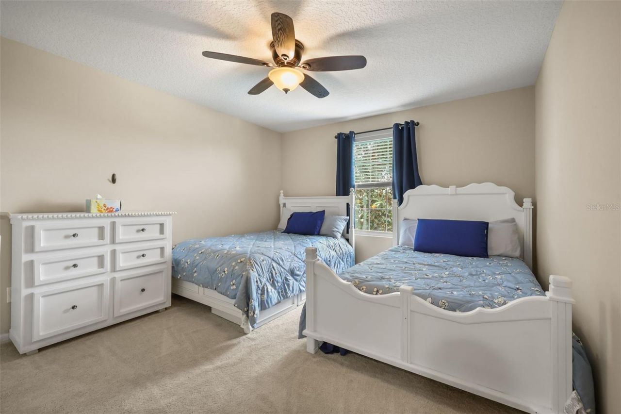 539 Timbervale Trail, Clermont, FL 34715 Photo