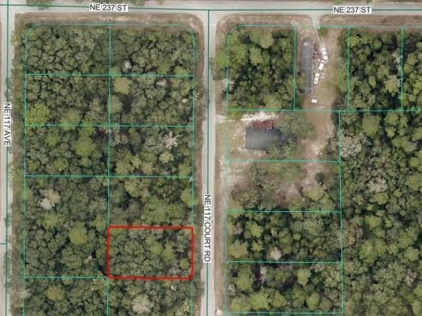 NE 117TH COURT ROAD , FORT MC COY, FL 32134