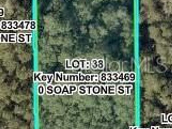 SOAP STONE STREET , WEBSTER, FL 33597