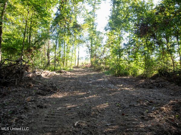 Owen Boone Road, Puckett, MS 39042