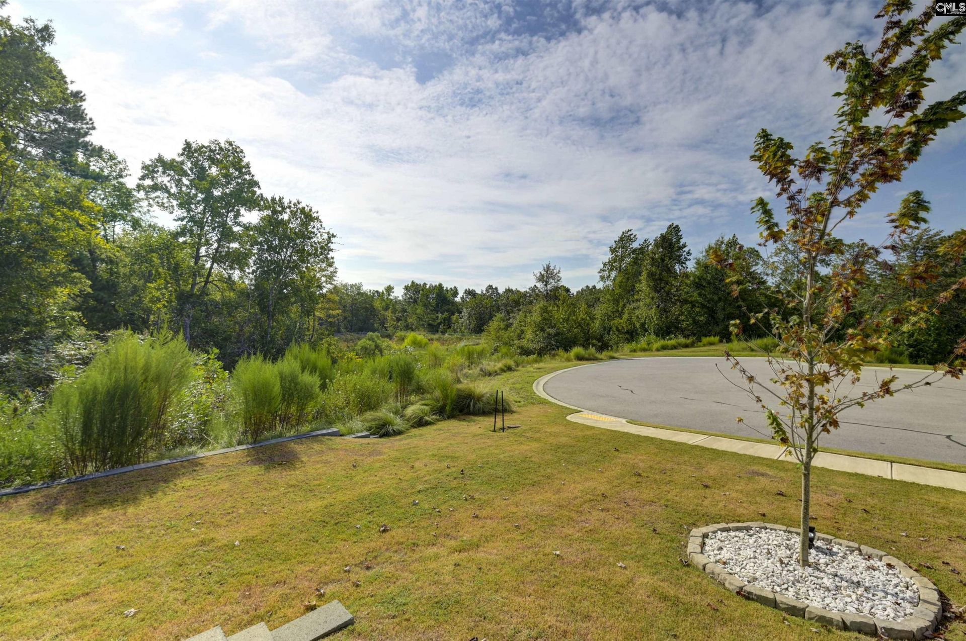290 Carrington Drive Photo 5