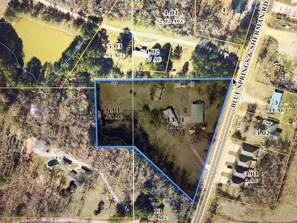 1127 Mississippi 9, Blue Springs, MS 38828