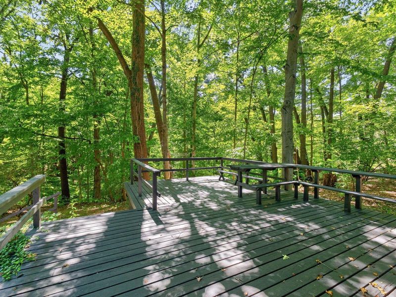 4445 Central College Road, Westerville, OH 43081 Photo 57
