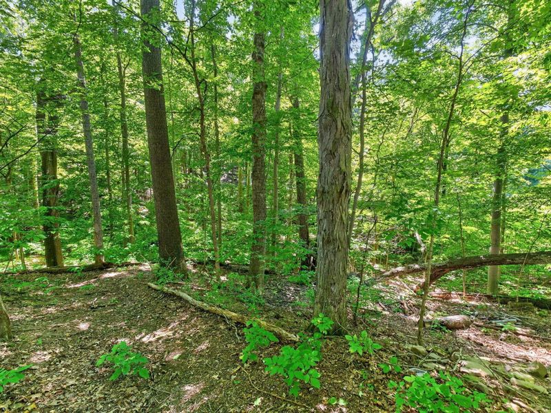 4445 Central College Road, Westerville, OH 43081 Photo 63