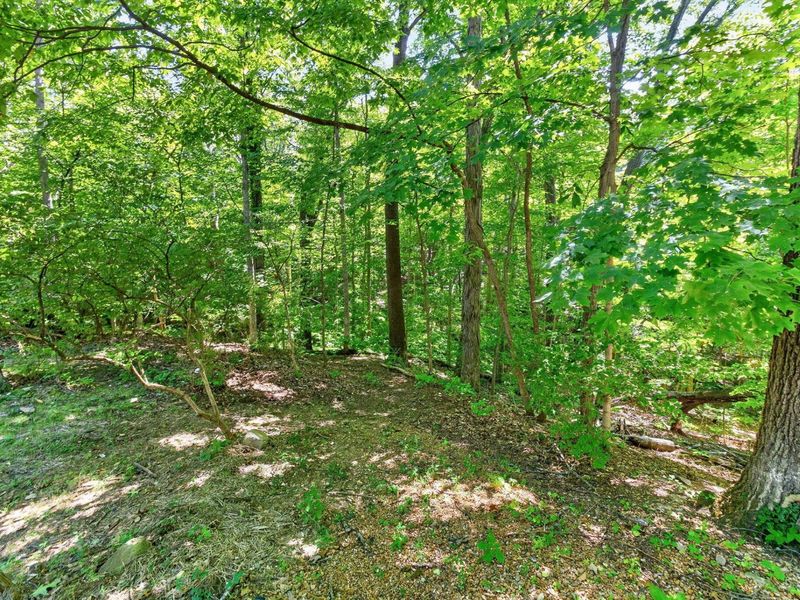 4445 Central College Road, Westerville, OH 43081 Photo 64