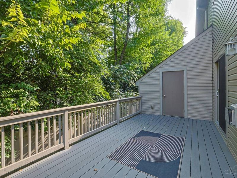 960 Volterra Lane, Cincinnati, OH 45206 Photo 33