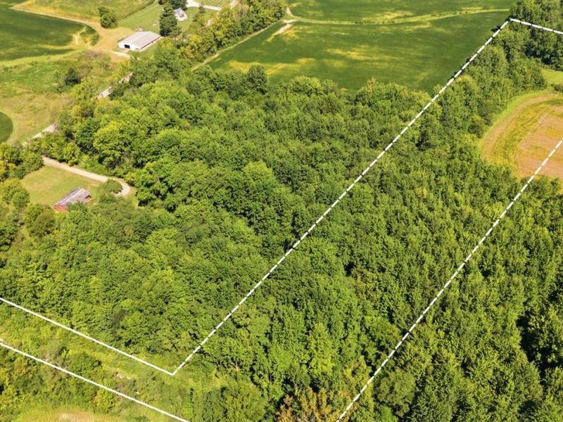 1001 Ivy Trails Drive, Jackson Township, OH 45176 Photo 10