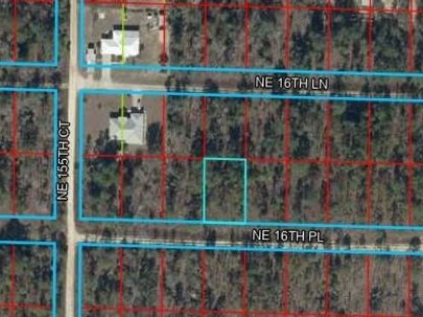NE 16 PL , WILLISTON, FL 32696