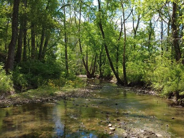 293 E Piney Rd , Dickson, TN 37055