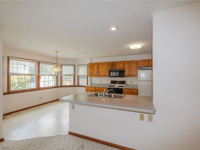 3233 Bramblewood Way, Avon, OH 44011 Photo 22
