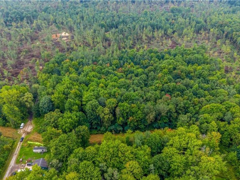 E View Drive, North Kingsville, OH 44030 Photo 10
