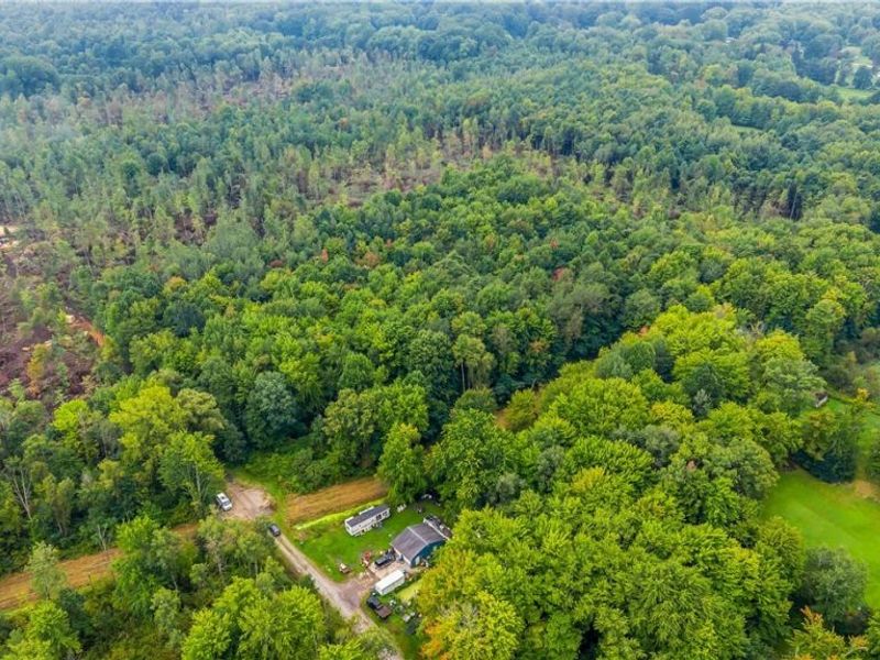 E View Drive, North Kingsville, OH 44030 Photo 14