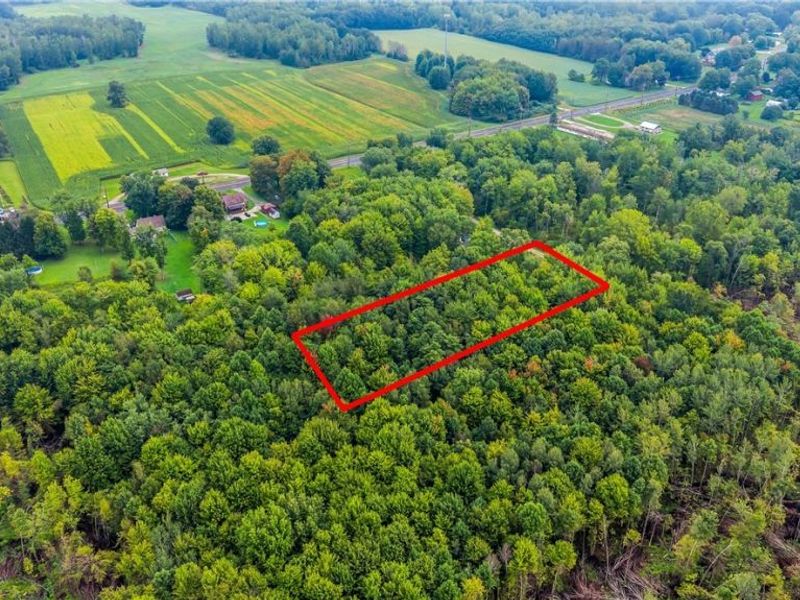 E View Drive, North Kingsville, OH 44030 Photo 5